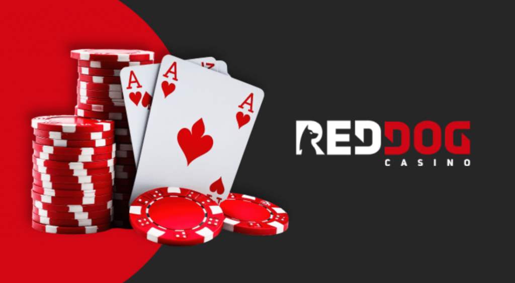 Overview of Red Dog Casino: Advantages for New Players 2